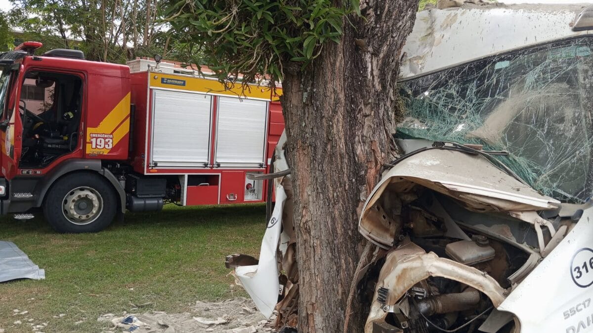 “Moço querido”: quem era o jovem que morreu após caminhão bater em árvore em Nova Erechim