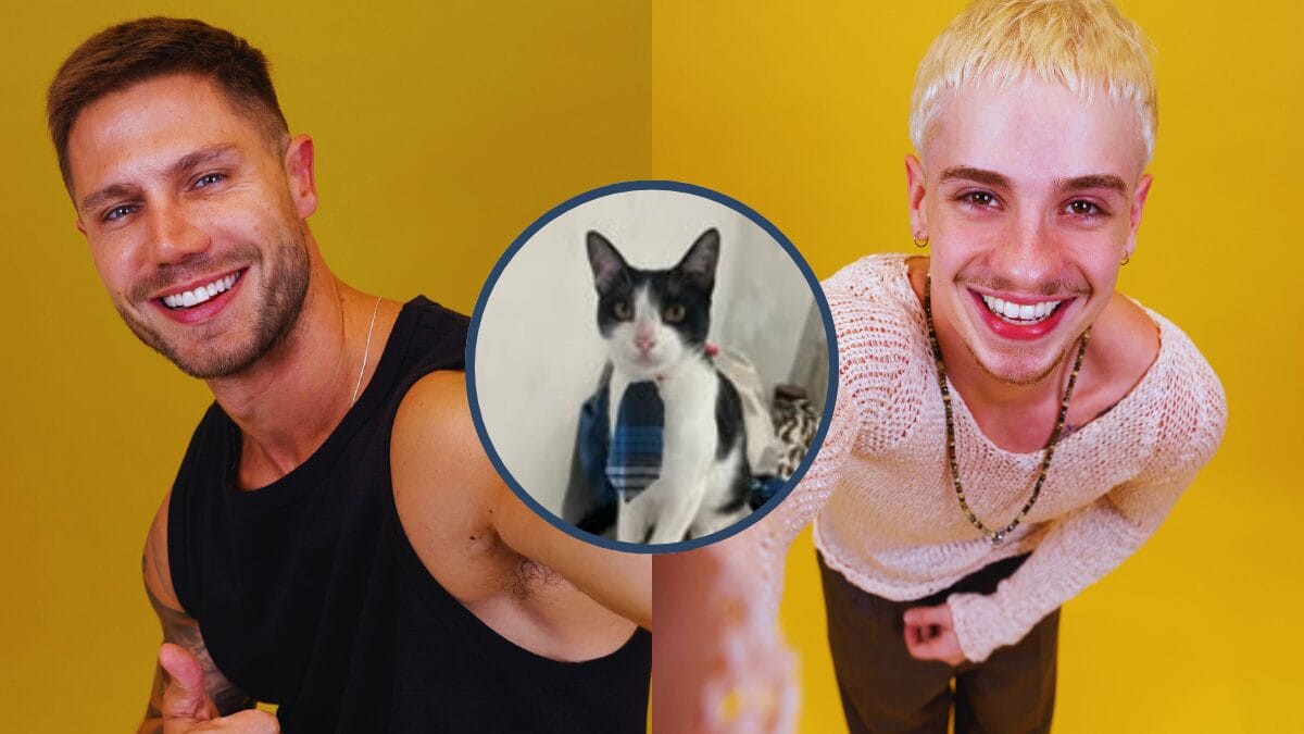 Gatinho Vidente faz previsão de quem sai no paredão do BBB 26 entre Jonas e Juliano Floss