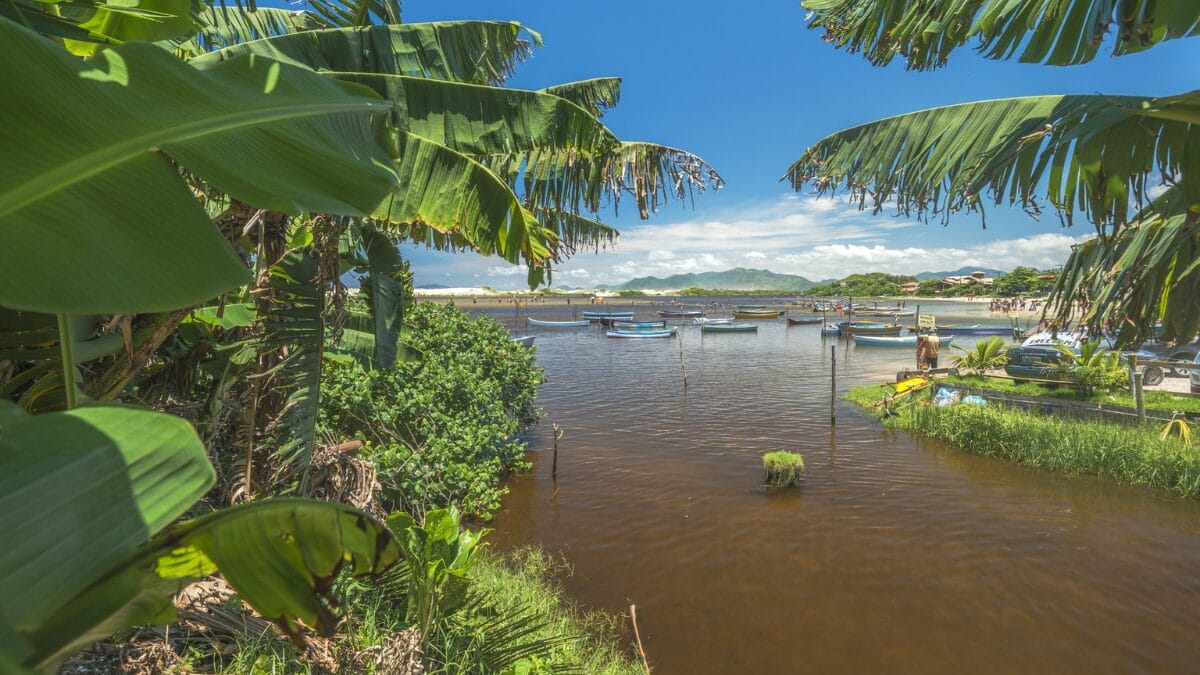 Passeio pela Guarda do Emba&uacute;
