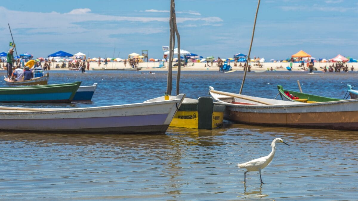 Op&ccedil;&otilde;es de turismo na Guarda do Emba&uacute;