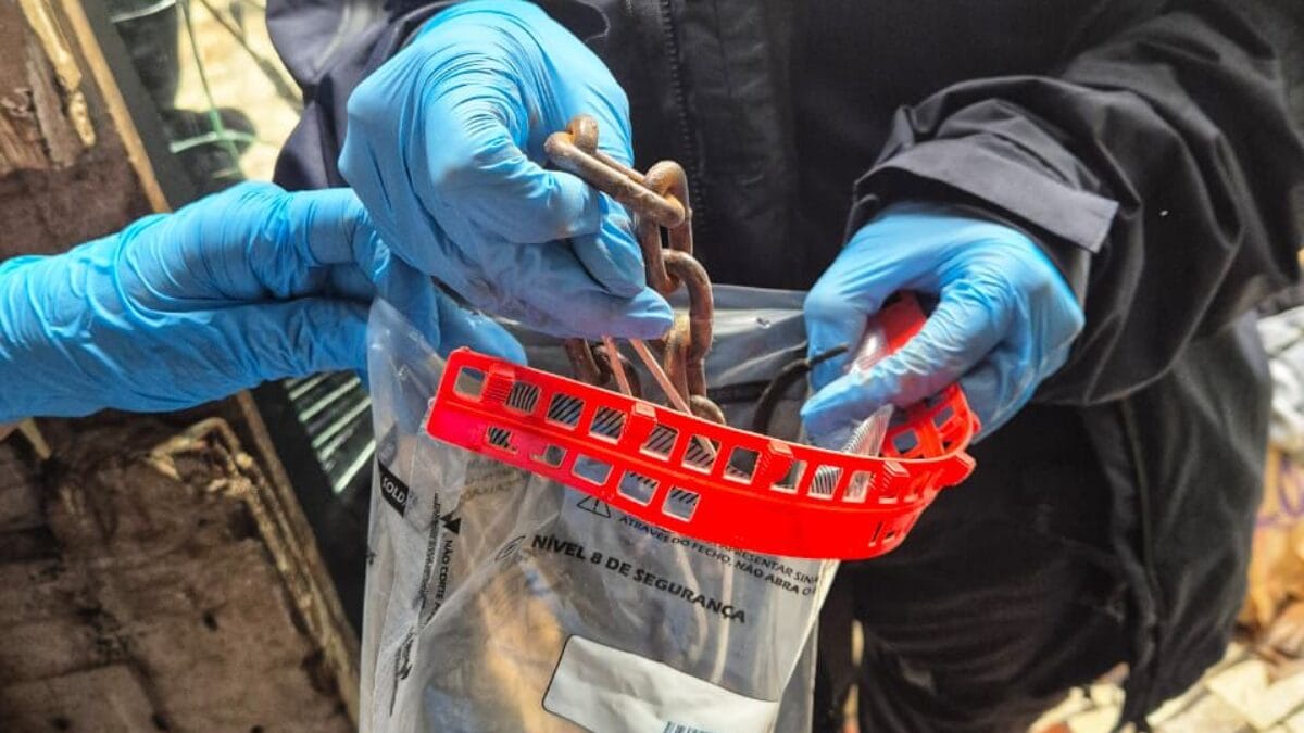 Polícia Civil desvenda caso de assassinato brutal (Foto: Polícia Civil, Divulgação)