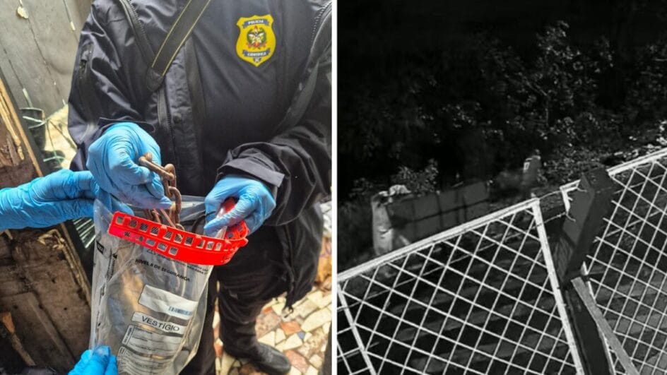 Polícia Civil desvenda caso de assassinato brutal (Foto: Polícia Civil, Divulgação)