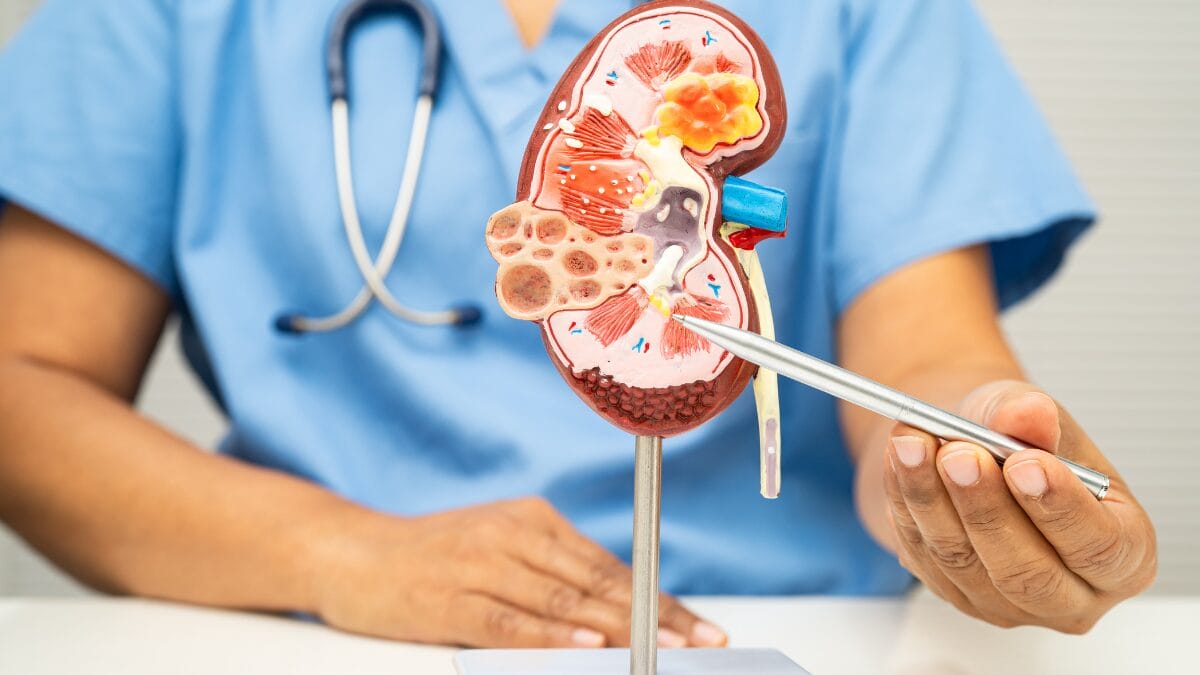 Insuficiência renal aguda dia mundial do rim