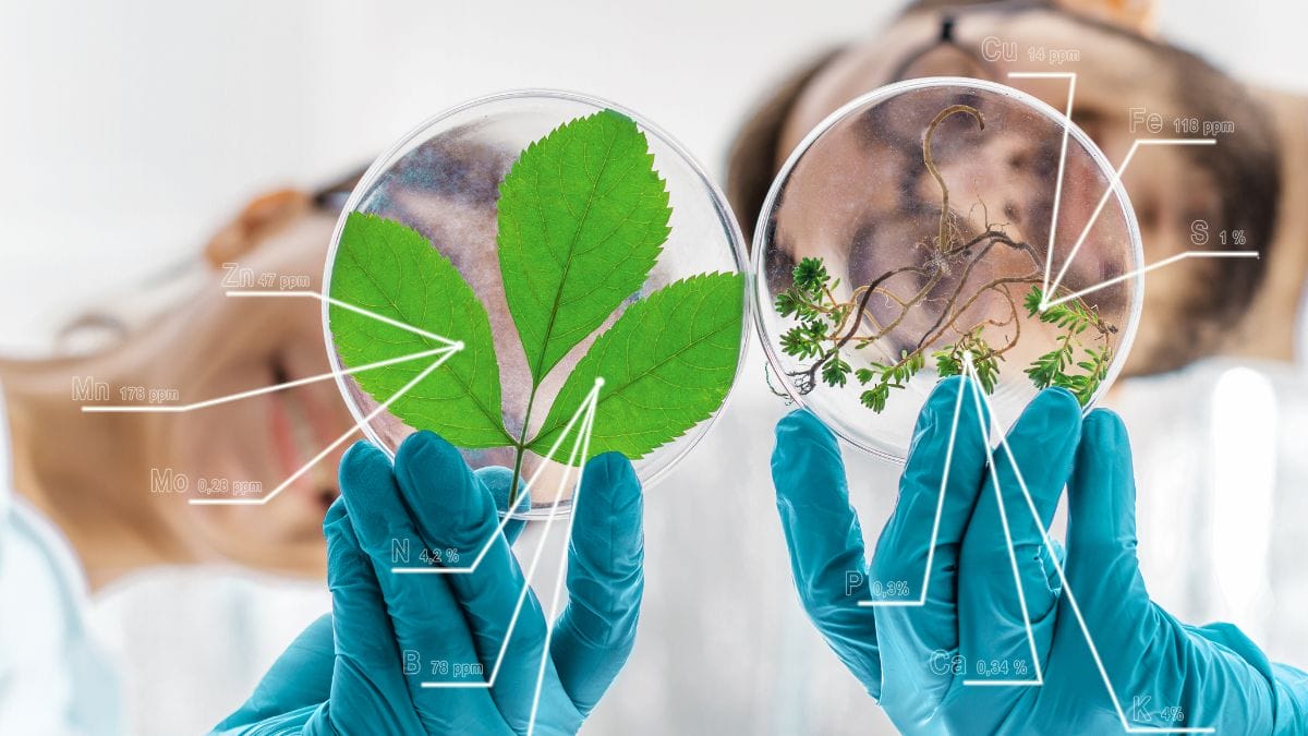 Farm&aacute;cia magistral desempenha papel chave na personaliza&ccedil;&atilde;o do cuidado (Foto: Banco de Imagens)s)