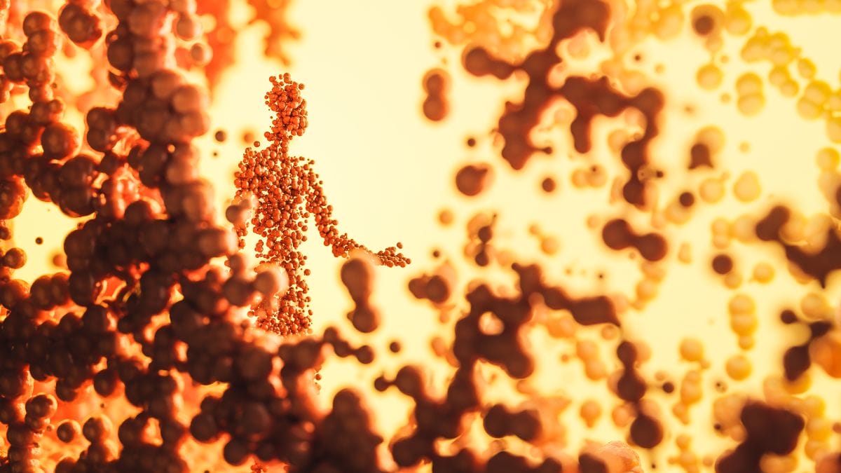 Mecanismos de regenera&ccedil;&atilde;o celular buscam reverter danos causados pelo tempo (Foto: Banco de Imagens)