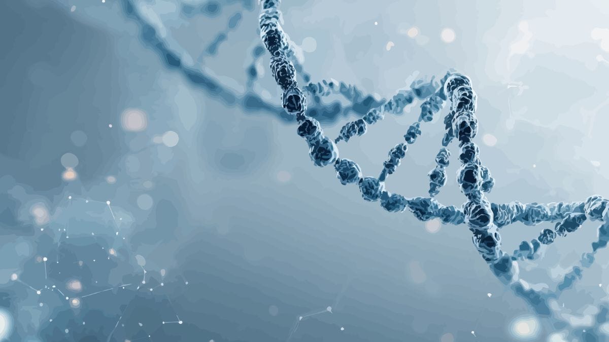 Complexidade biol&oacute;gica exige que subst&acirc;ncias sejam reconhecidas pelo metabolismo humano (Foto: Banco de Imagens)