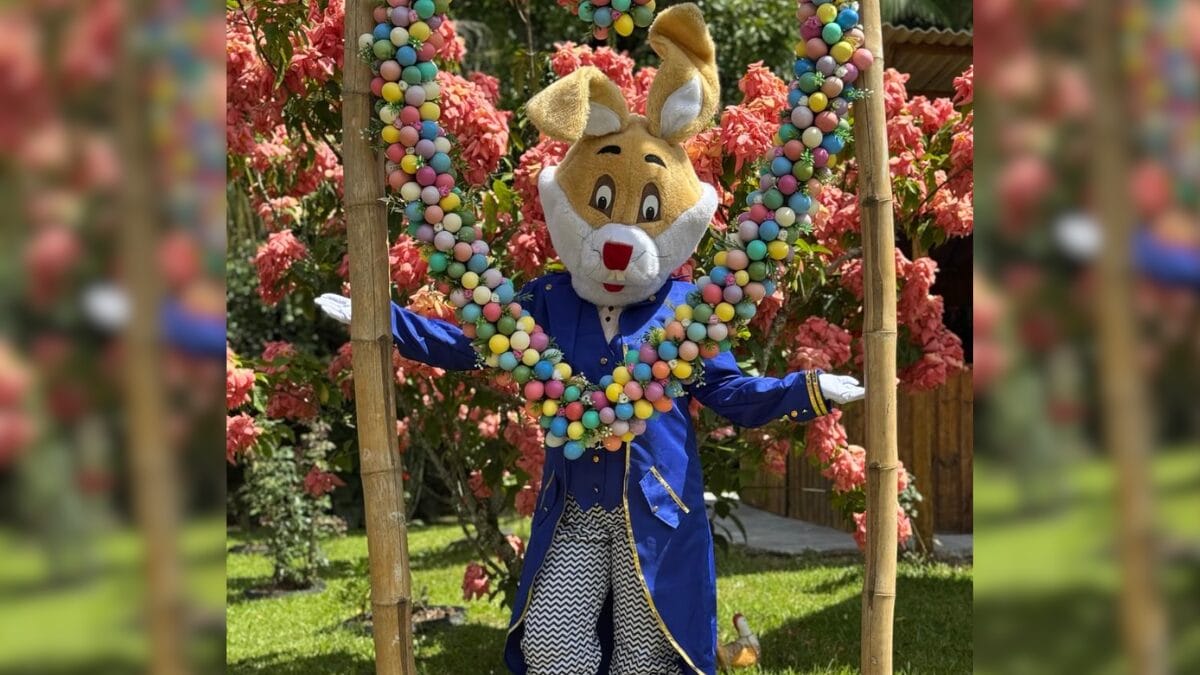 Osterbaum em Cambori&uacute;