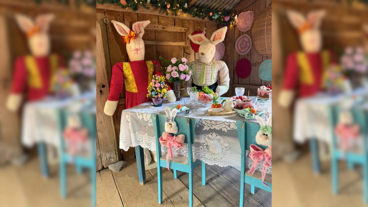 Osterbaum em Cambori&uacute;