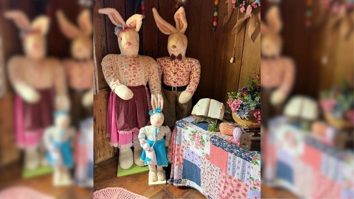 Osterbaum em Cambori&uacute;