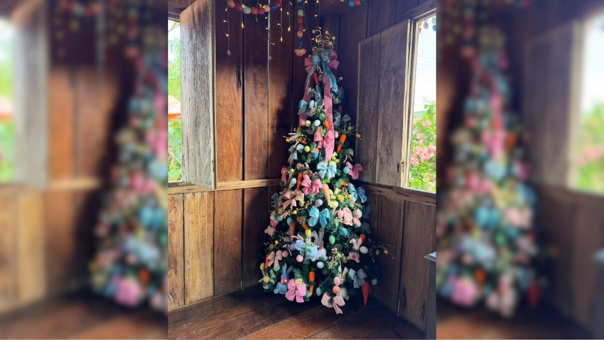 Osterbaum em Cambori&uacute;