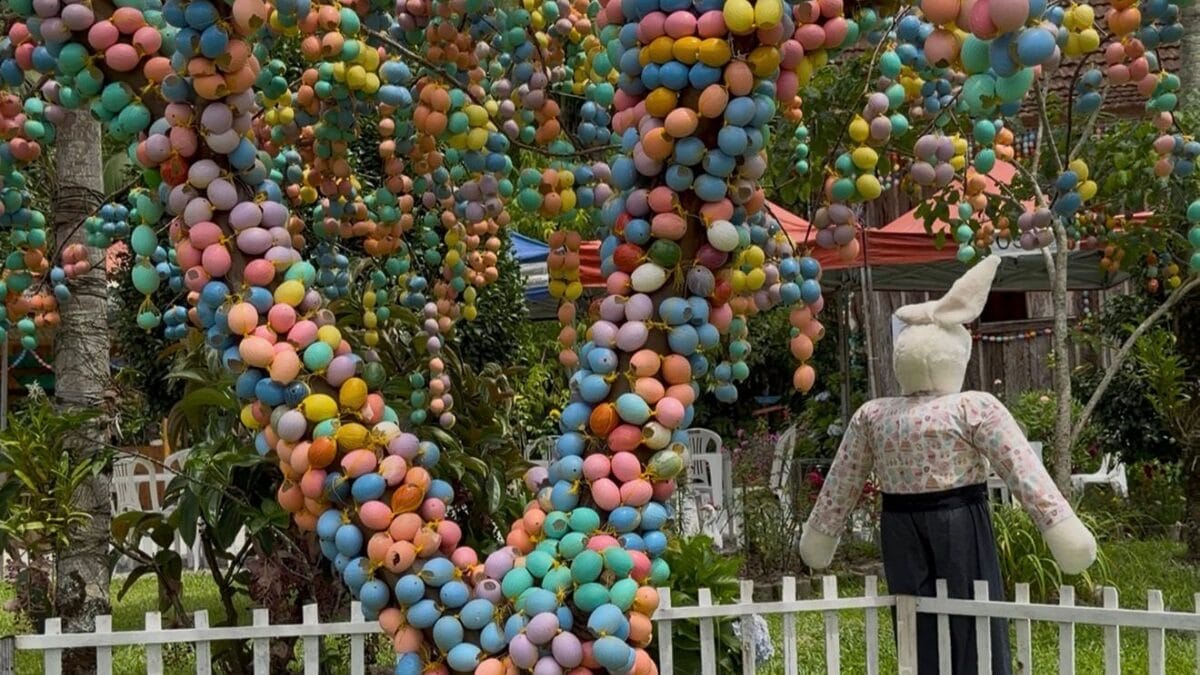 Osterbaum em Cambori&uacute;
