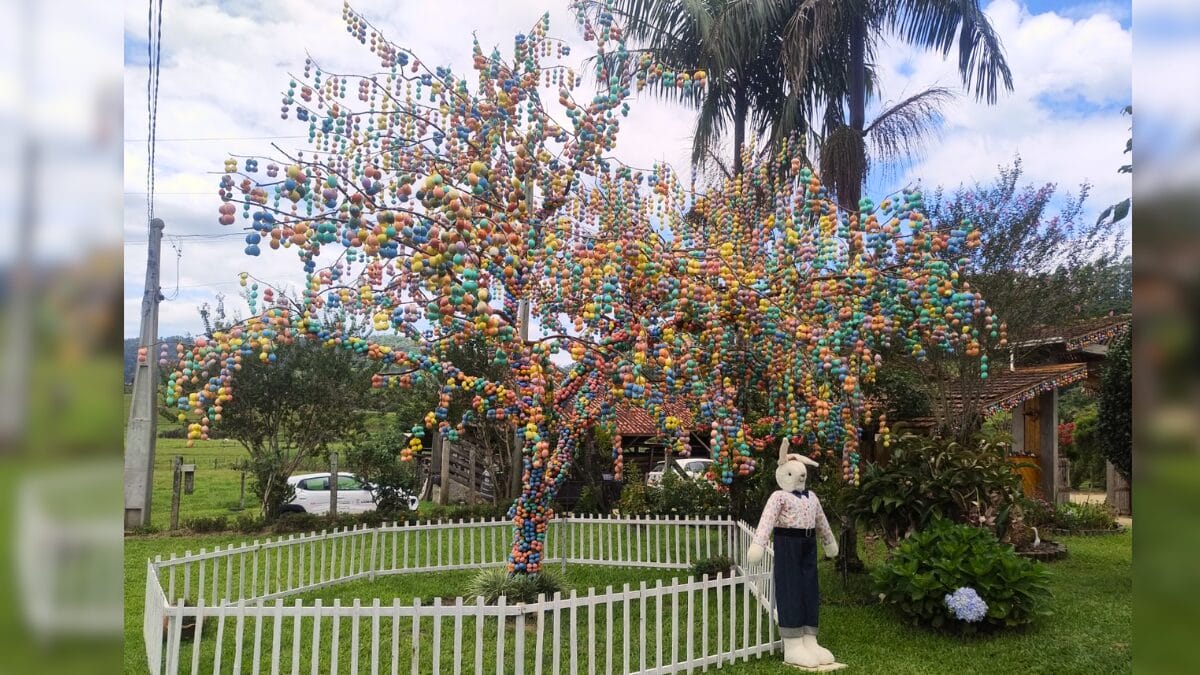 Osterbaum em Cambori&uacute;