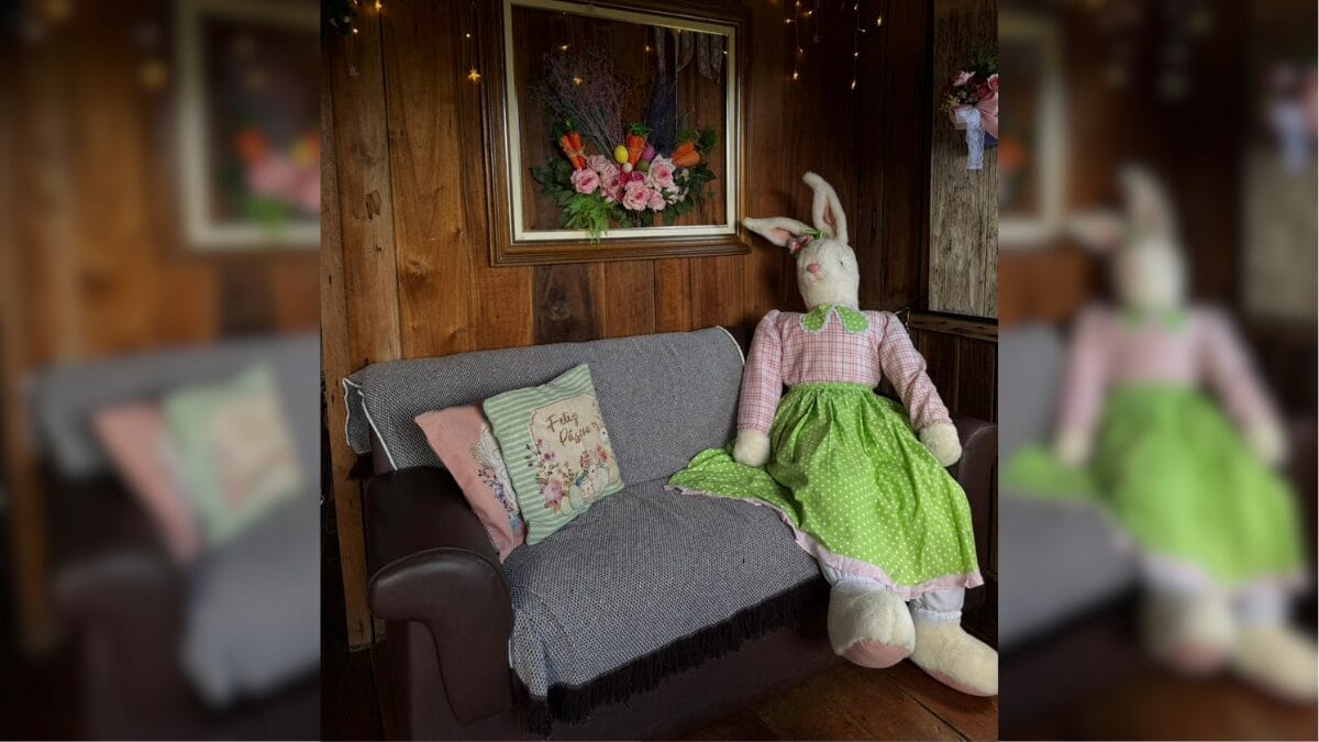 Osterbaum em Cambori&uacute;