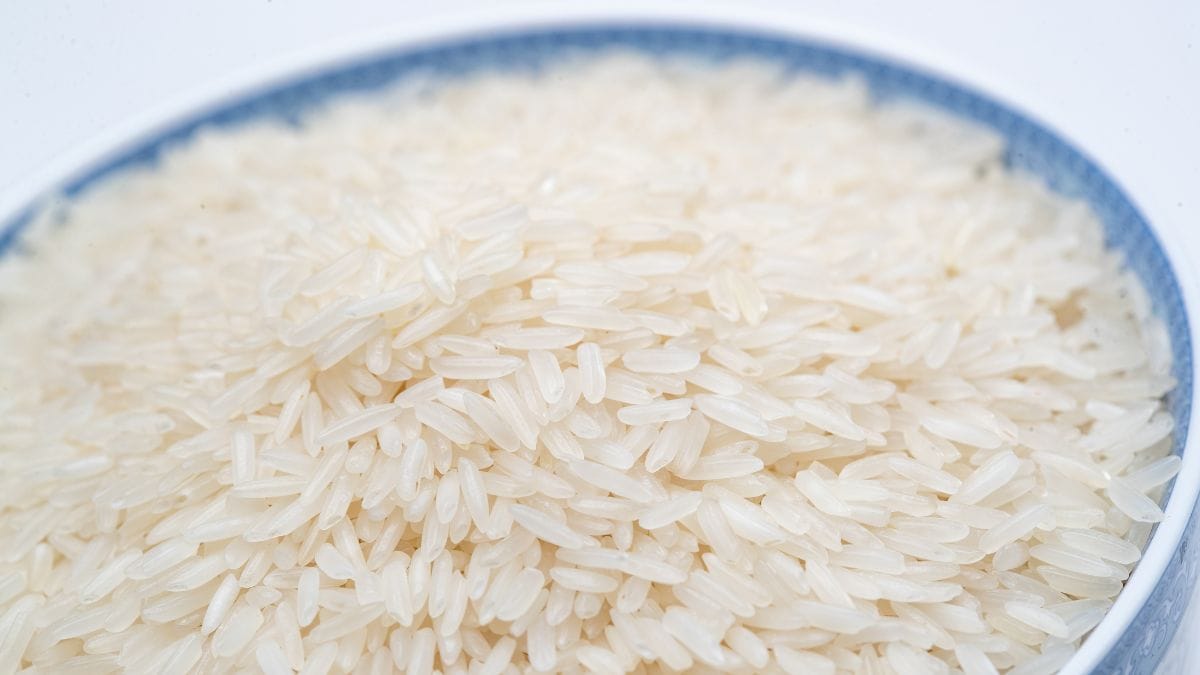 Arroz agulhinha