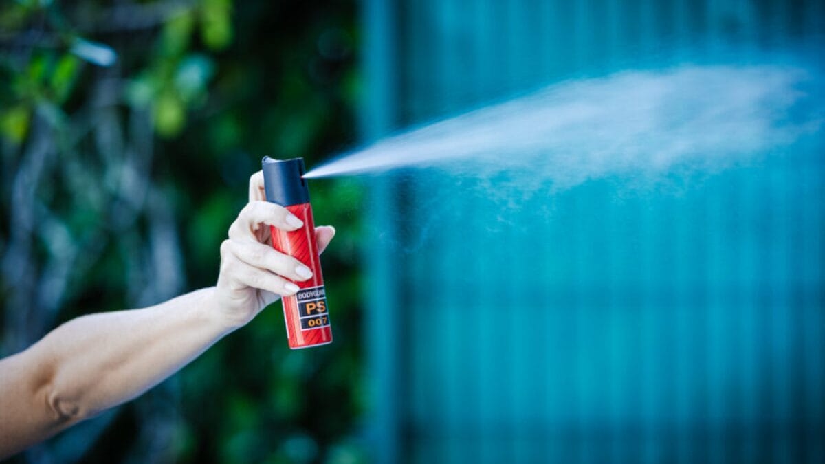 SC aprova projeto de lei que garante spray de pimenta para mulheres vítimas de violência