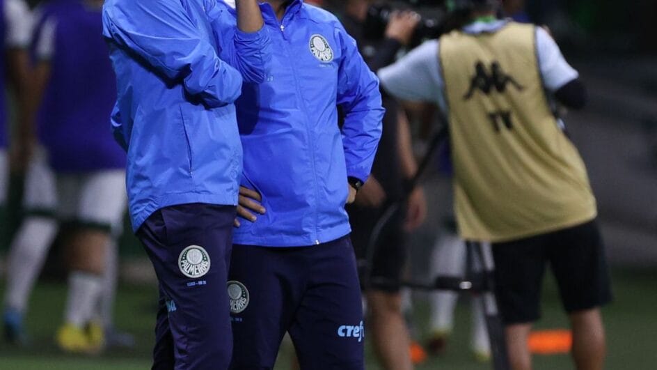 Técnico trabalhou no Palmeiras (Foto: Fabio Menotti, SEP)