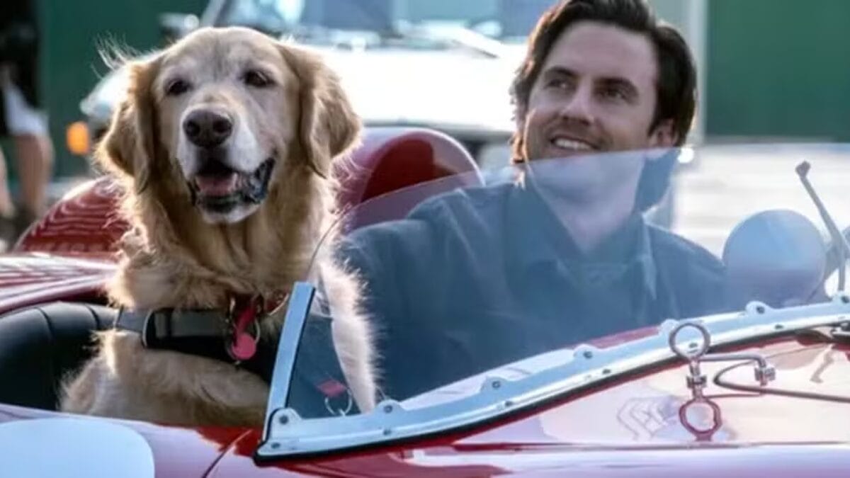 Sess&atilde;o da Tarde - sexta-feira - 06_03_2026 - _Meu Amigo Enzo