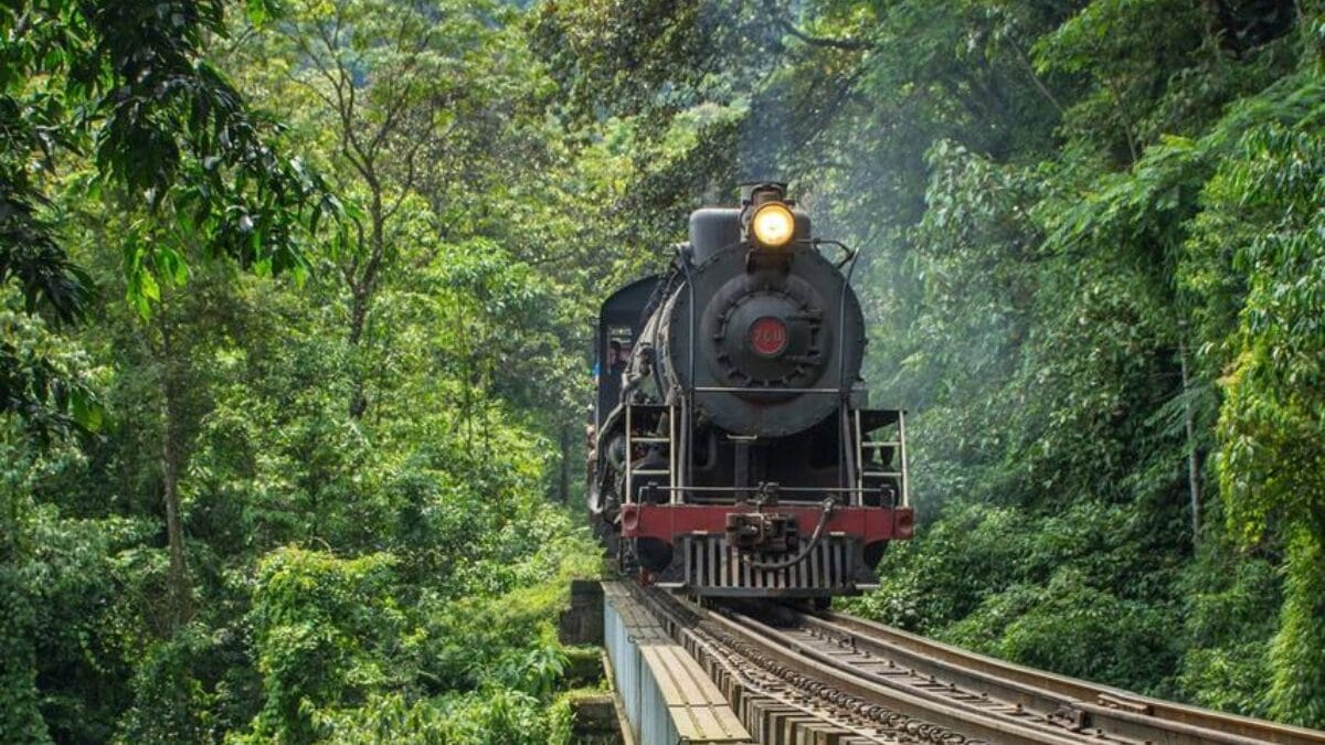 Conhe&ccedil;a o Trem Serra do Mar