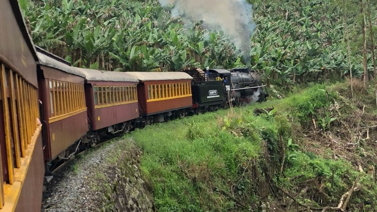 Conhe&ccedil;a o Trem Serra do Mar