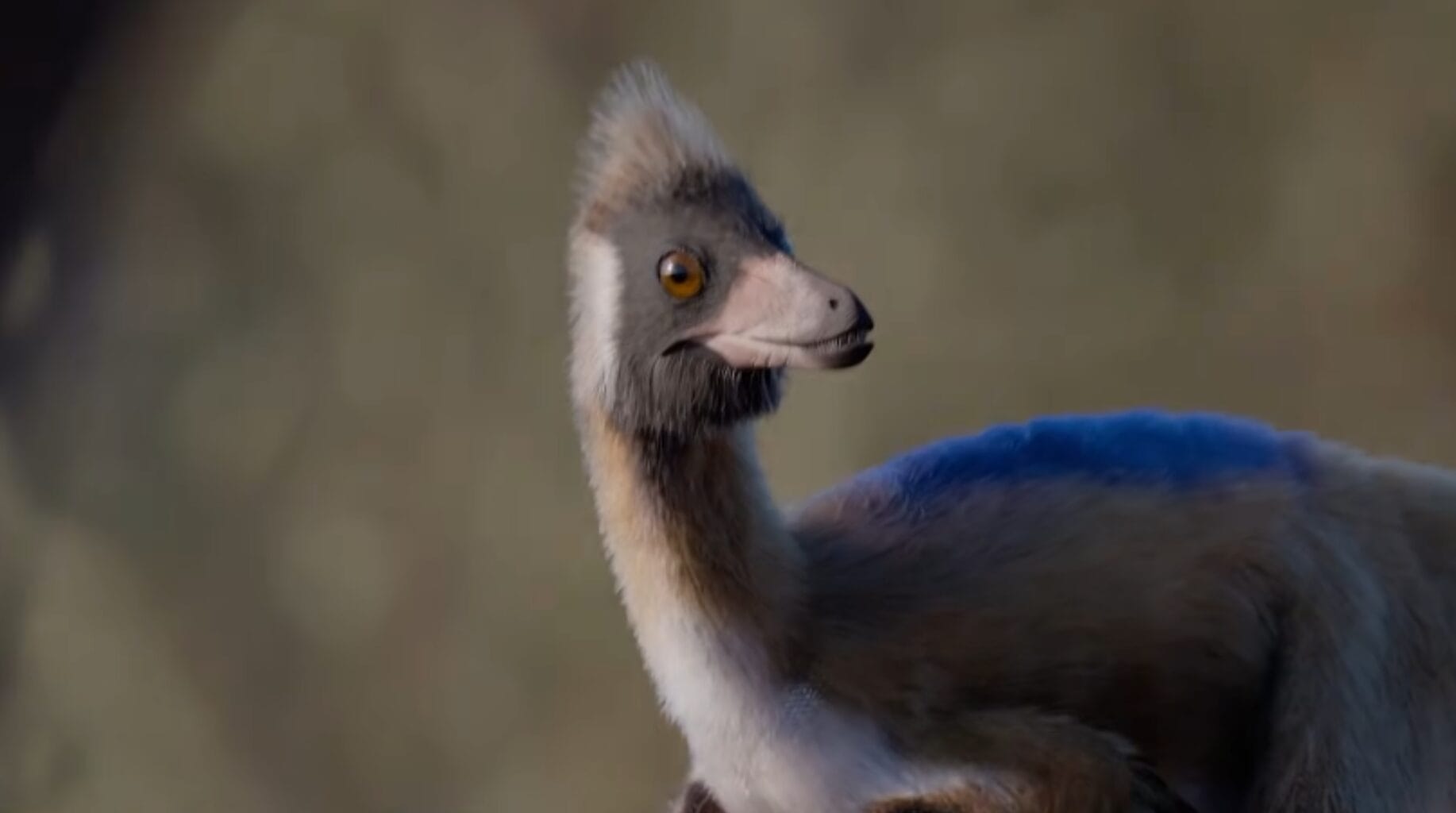 Um dinossauro do tamanho de uma galinha foi encontrado na Patag&ocirc;nia