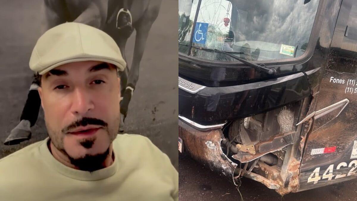 No ônibus, havia 17 pessoas, sem vítimas, segundo a Ecovias (Foto: Redes sociais, Reprodução)