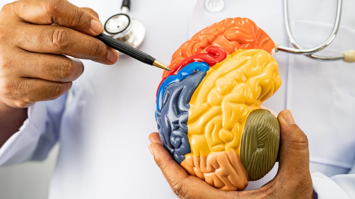 alzheimer em jovens