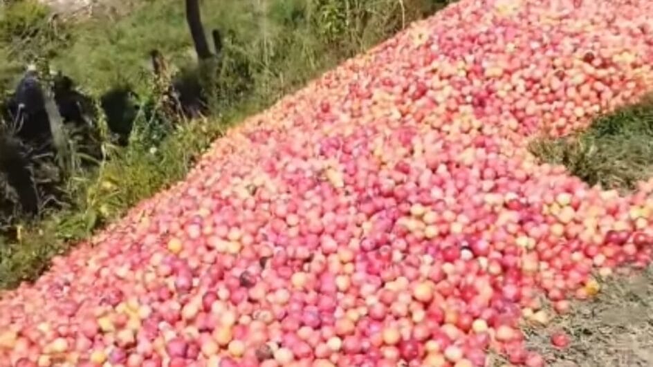 Produtor ofereceu fruta para a população (Foto: Redes sociais, Reprodução)
