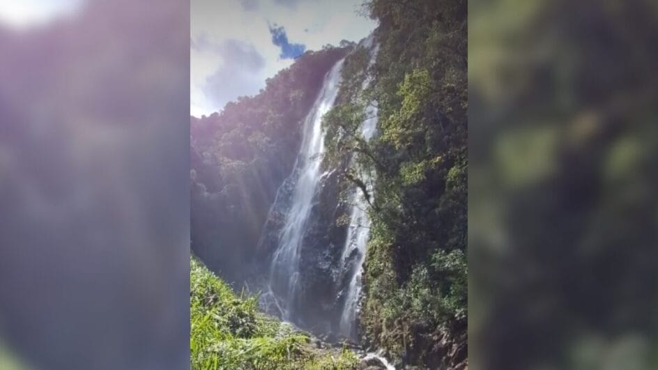 Cachoeira fica em meio à trilha fechada (Foto: Google Maps, Reprodução)