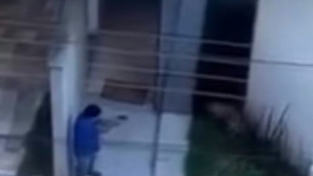 Cachorro foi encontrado já morto pelo jovem (Foto: Reprodução)