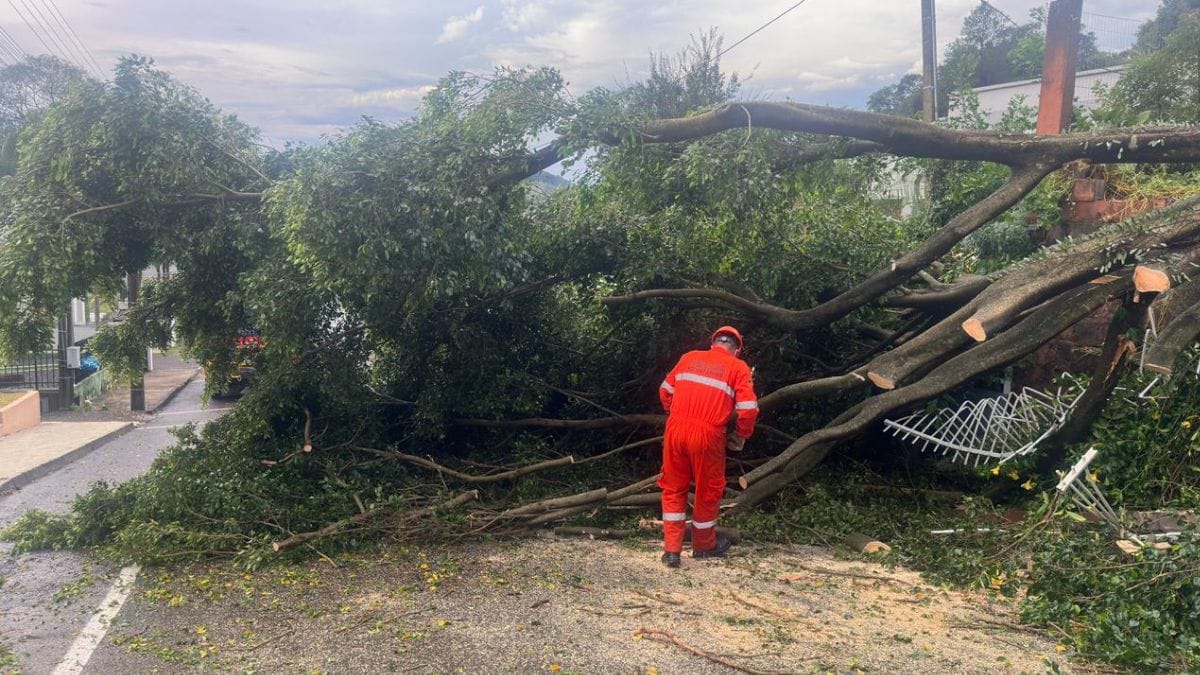 temporal em concordia