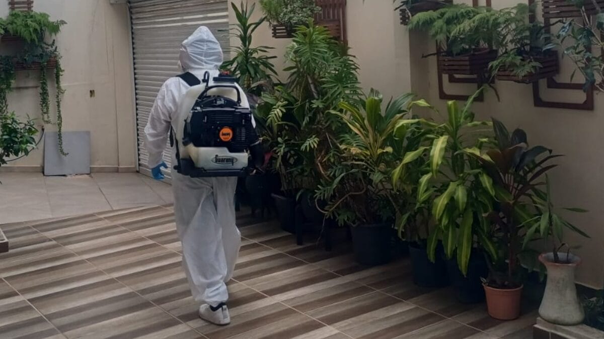 combate a dengue em Itajaí
