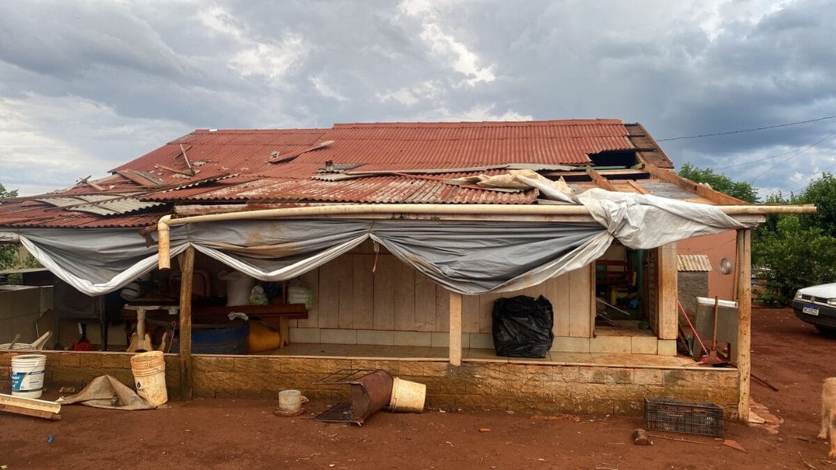 Destalhamento em S&atilde;o Domingos 