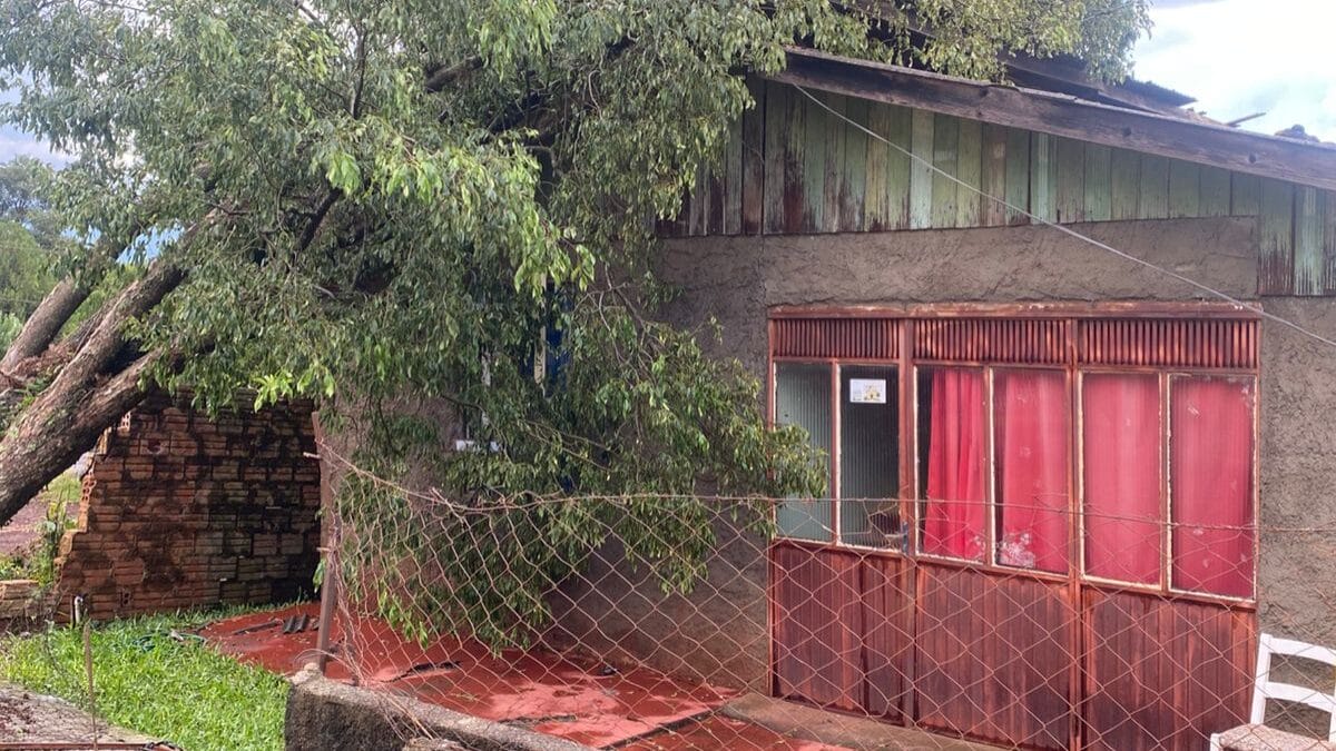 Destalhamento em S&atilde;o Domingos 