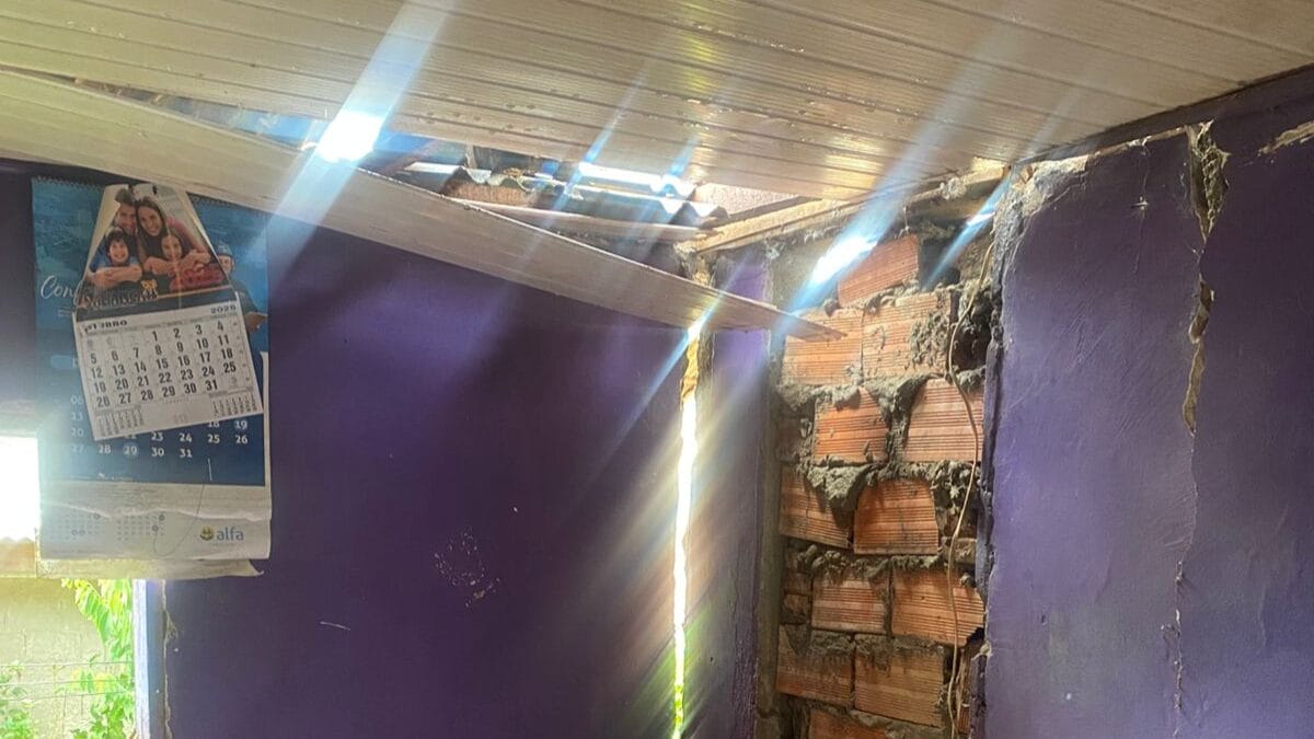 Destalhamento em S&atilde;o Domingos 