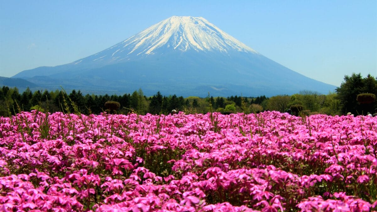  monte Fuji 