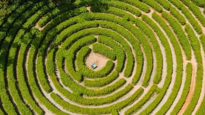Mais de 35 mil árvores estão plantadas no Parque Malwee (Foto: Parque Malwee, Redes Sociais, Reprodução)
