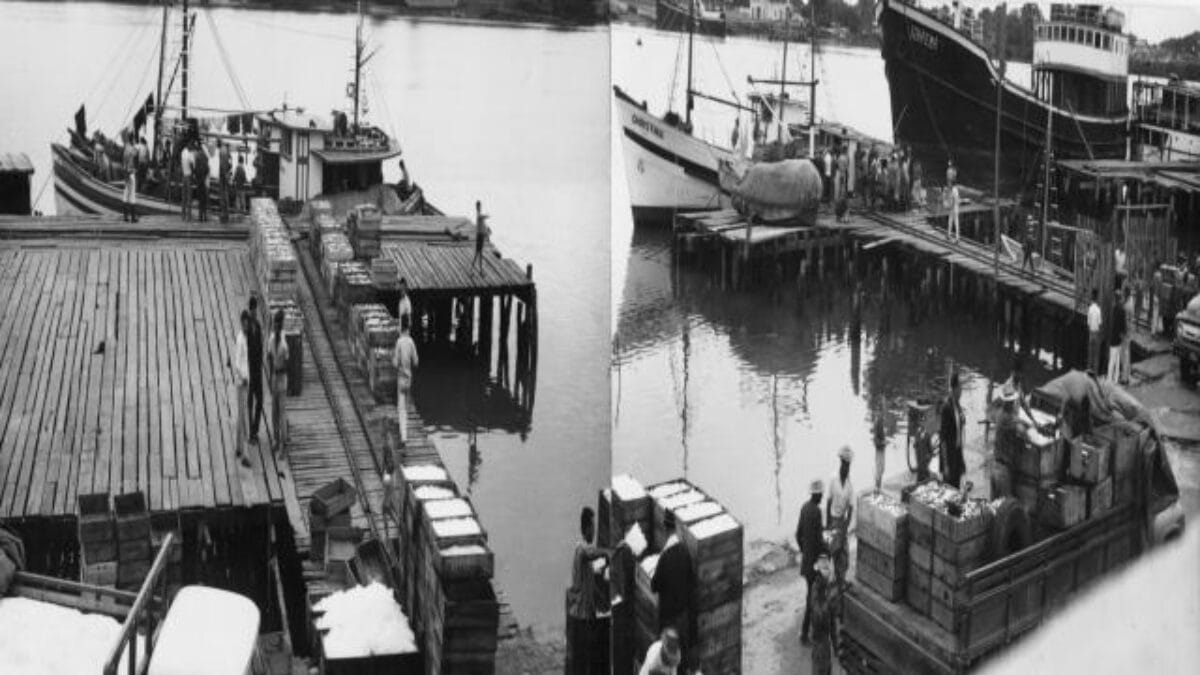 Conhe&ccedil;a como era o Porto de Itaja&iacute; antigamente (Foto: Porto de Itaja&iacute;, Arquivo) 