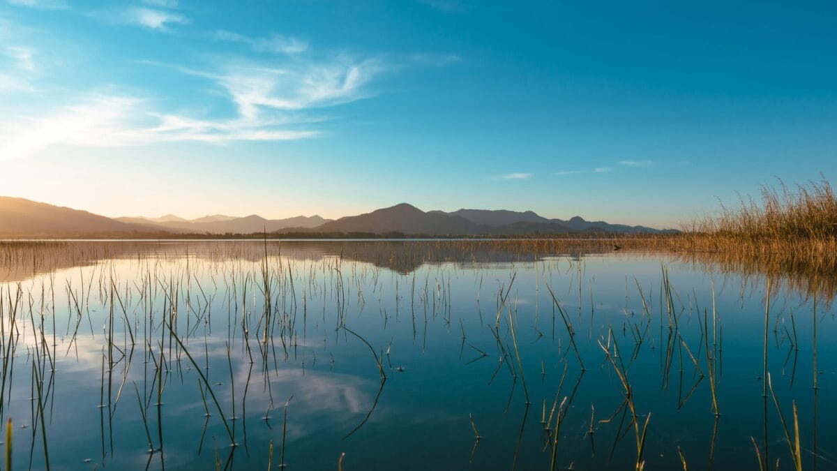 Imbituba encanta com belezas naturais e avistamento de baleias (Foto: Rota da Baleia Franca, Divulga&ccedil;&atilde;o)