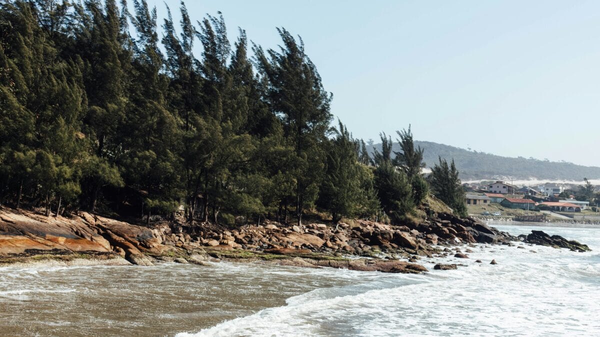Imbituba encanta com belezas naturais e avistamento de baleias (Foto: Rota da Baleia Franca, Divulga&ccedil;&atilde;o)