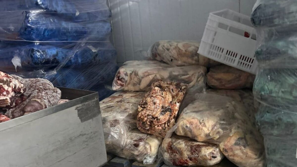 frigor&iacute;fico interditado em Coronel Freitas e Chapec&oacute;