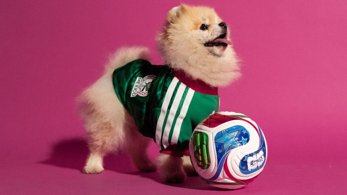 Camisa para pets - Copa do Mundo - M&eacute;xico (Foto: divulga&ccedil;&atilde;o Adidas)
