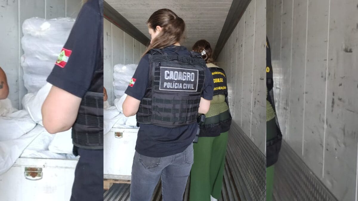 frigor&iacute;fico interditado em Coronel Freitas e Chapec&oacute;