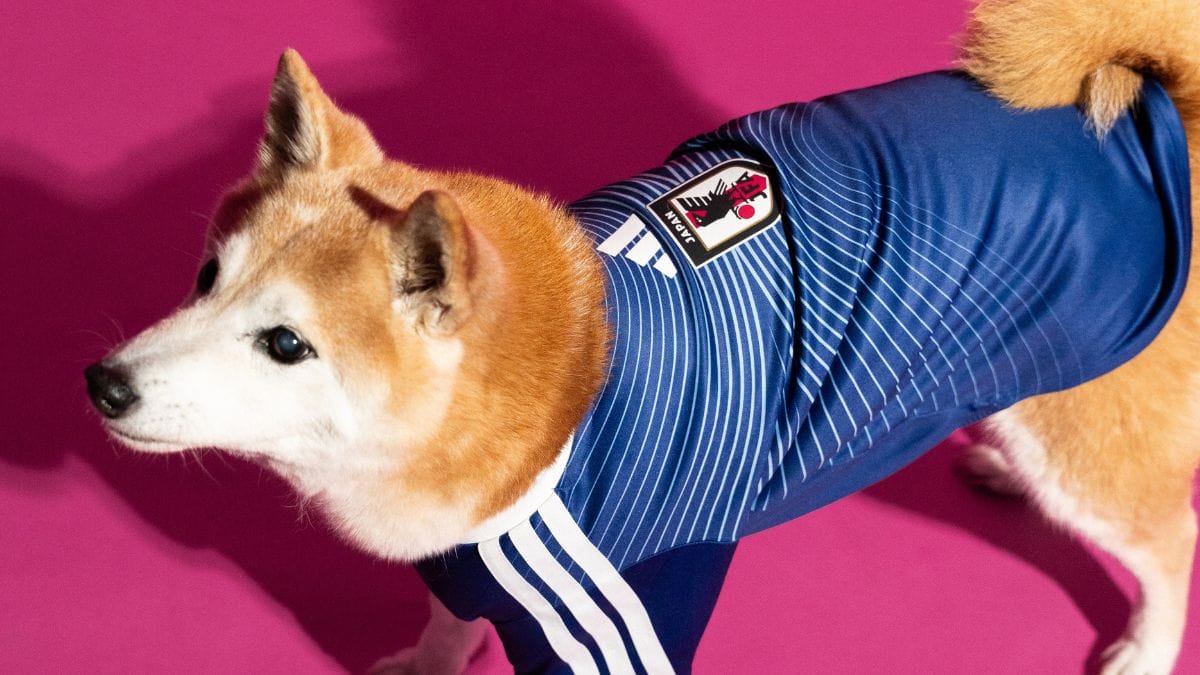 Camisa para pets - Copa do Mundo - Jap&atilde;o (Foto: divulga&ccedil;&atilde;o Adidas)