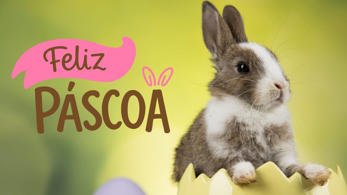 150 Mensagens de Feliz Páscoa 2026 frases e cartões para enviar neste domingo