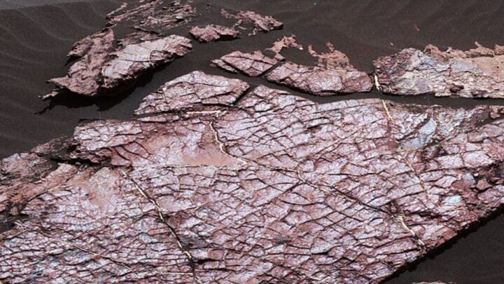 Marcas curiosas no solo marciano intrigam pela aparência e ajudam cientistas a entender ciclos antigos de água (Foto: Wikimedia Commons/NASA/JPL-Caltech/MSSS)