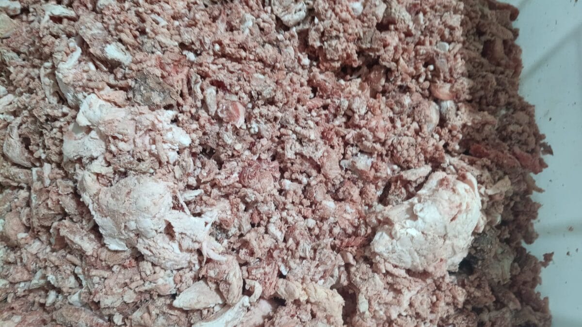 frigor&iacute;fico interditado em Coronel Freitas e Chapec&oacute;