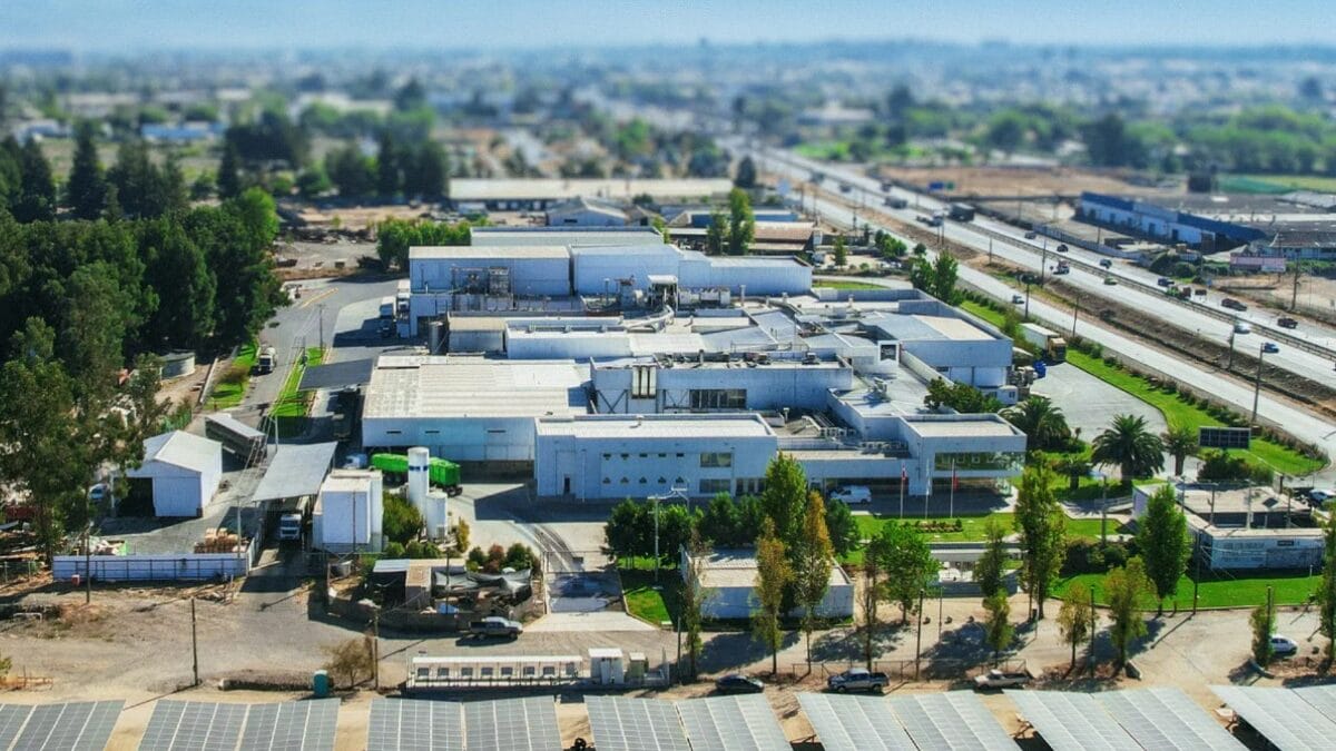 Master Agroindustrial S.A.