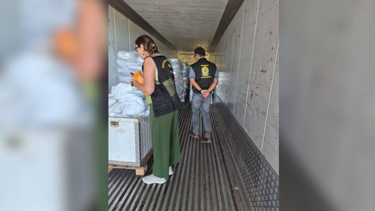 frigor&iacute;fico interditado em Coronel Freitas e Chapec&oacute;