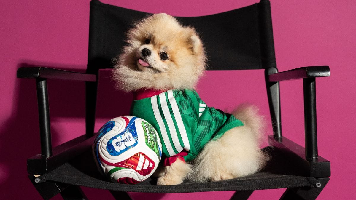 Camisa para pets - Copa do Mundo - M&eacute;xico (Foto: divulga&ccedil;&atilde;o Adidas)