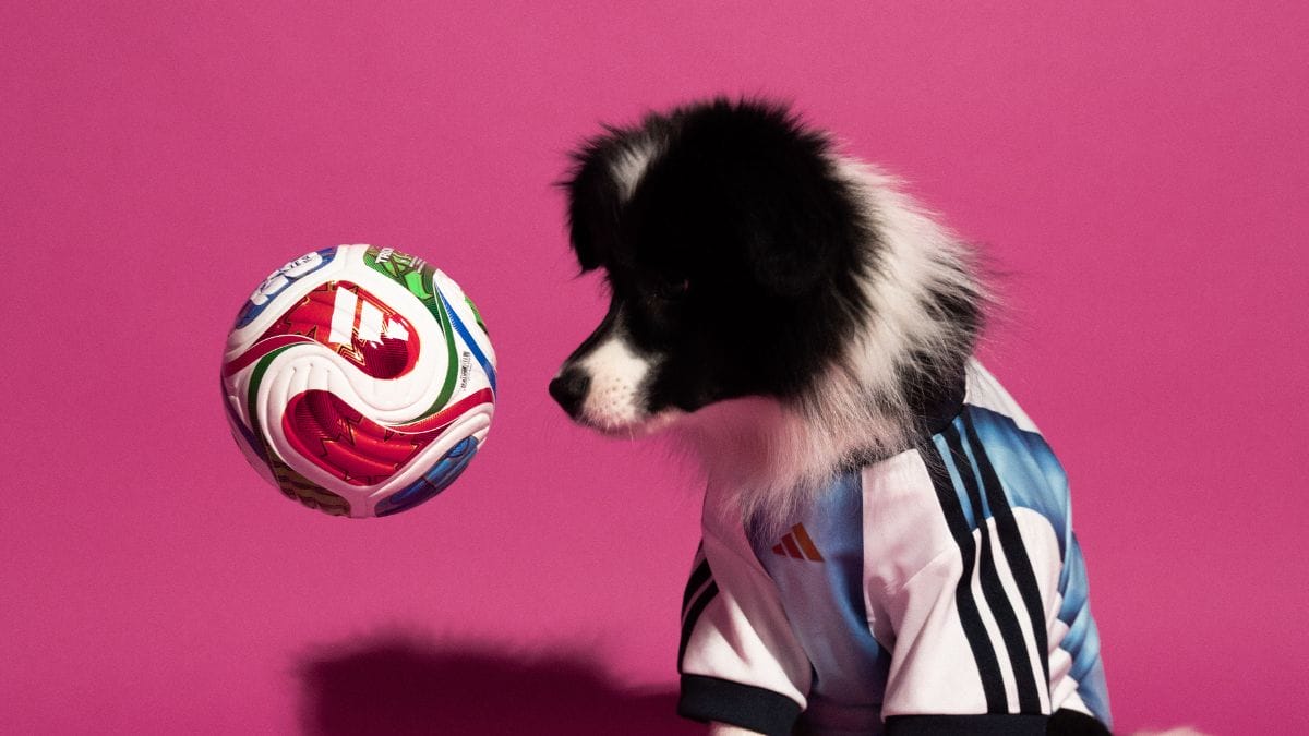 Camisa para pets - Copa do Mundo - Argentina (Foto: divulga&ccedil;&atilde;o Adidas)